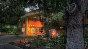 A building with a large tree in front, a mailbox, and a well-maintained garden with flowers.