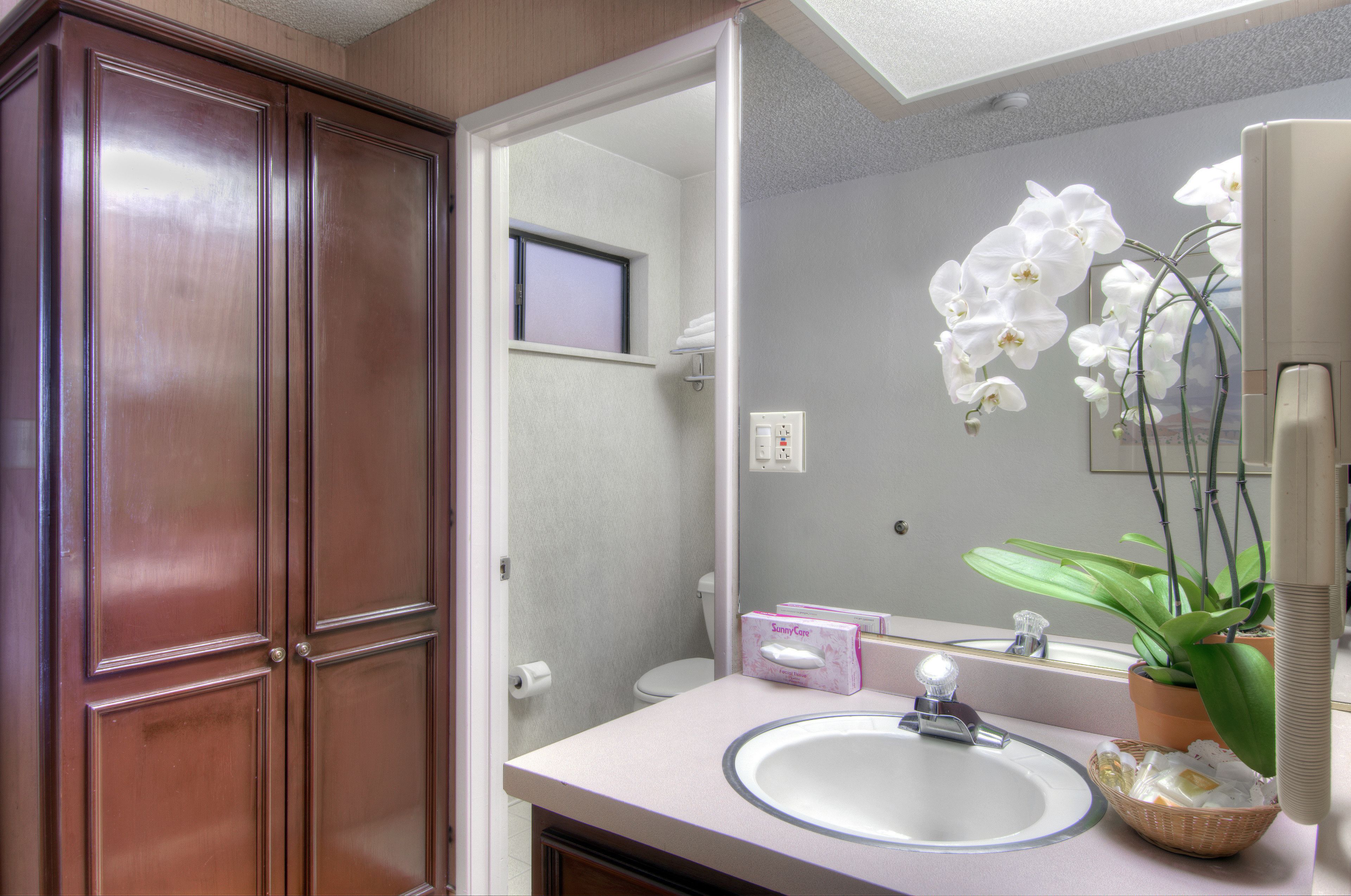 A bathroom with a wooden door, a white sink, a mirror, a toilet, and a potted orchid plant.