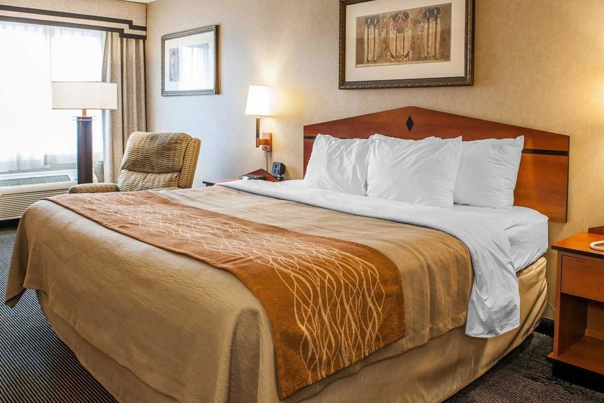 Premium bedding, desk, soundproofing, iron/ironing board