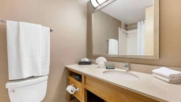 Une salle de bain équipée d’un WC, d’un lavabo, d’un miroir et d’un porte-serviettes.