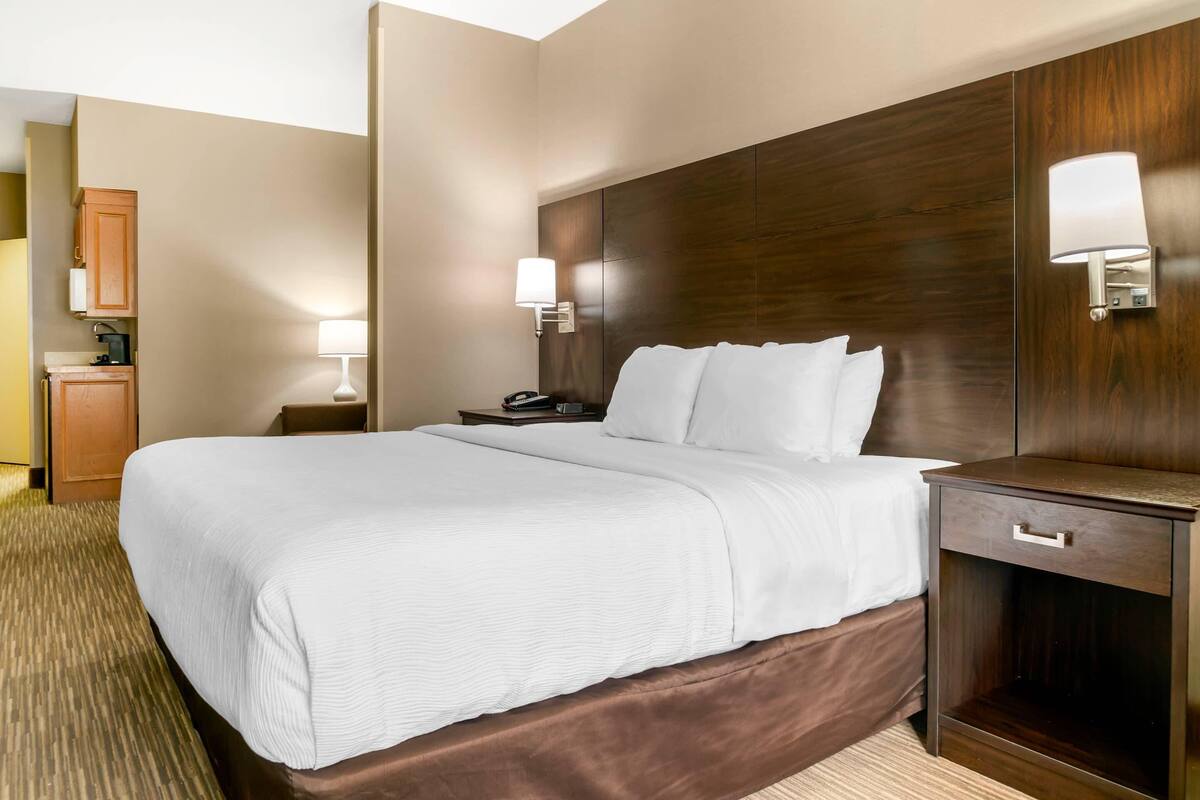 Suite, 1 King Bed with Sofa bed, Accessible, Non Smoking | Desk, laptop workspace, blackout drapes, iron/ironing board