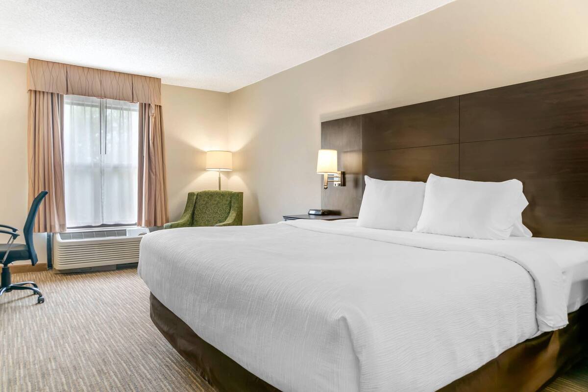 Standard Room, 1 King Bed, Non Smoking | Desk, laptop workspace, blackout drapes, iron/ironing board
