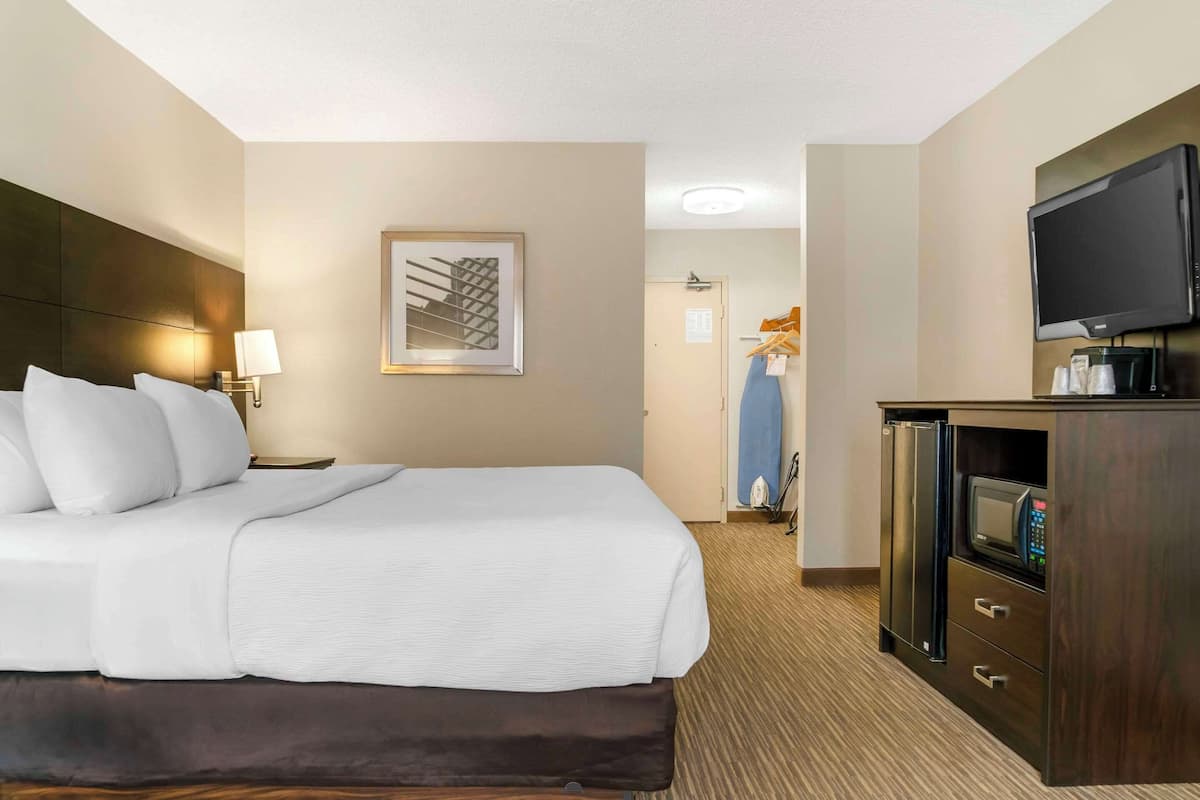1 bedroom, desk, laptop workspace, blackout curtains