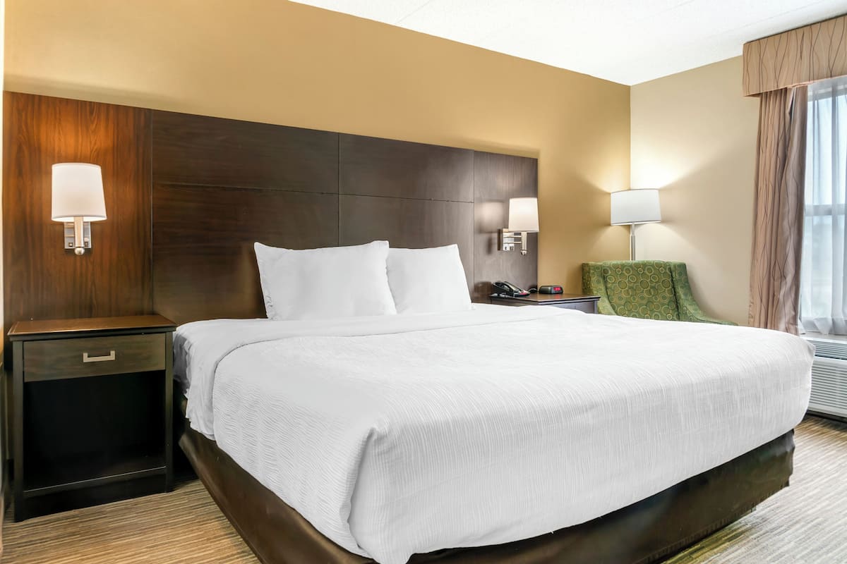 Standard Room, 1 King Bed, Non Smoking