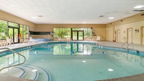 Una piscina interior amb aigua cristal·lina, un solàrium amb rajoles i gandules.