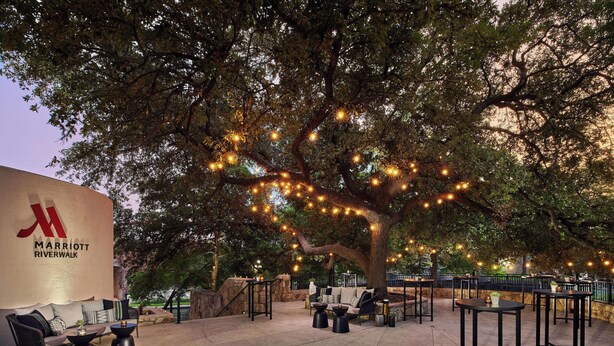Un área de estar al aire libre con mesas y sillas, un árbol grande y luces colgantes.