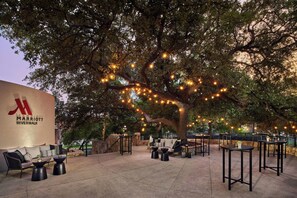 Un espace extérieur aménagé avec des tables et des chaises, situé sous un grand arbre et décoré de guirlandes lumineuses.