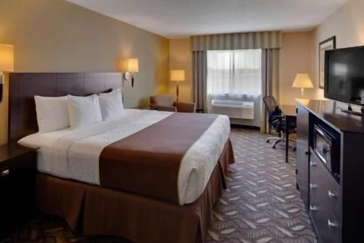 A hotel room with a bed, a TV, a desk, and a chair.