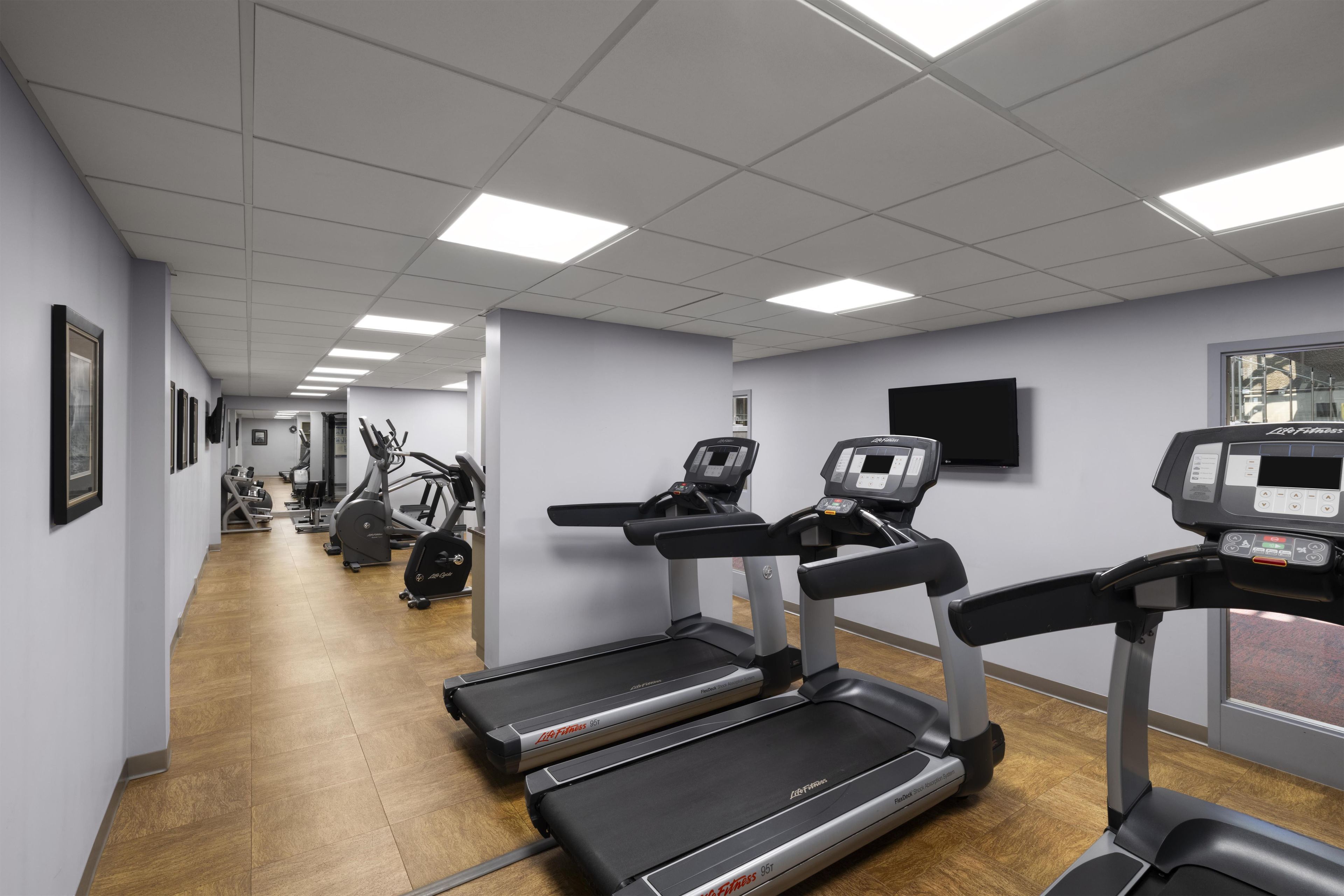 A gym with treadmills, stationary bikes, and weight machines.