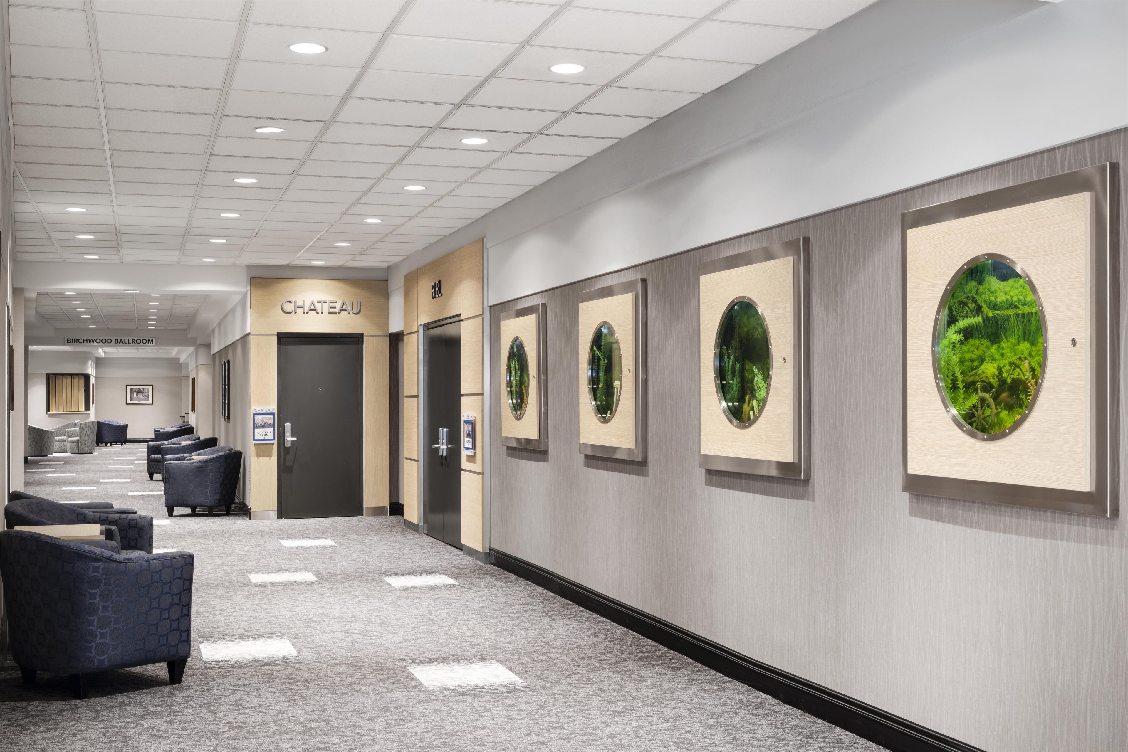 Een hotelgang met een receptiebalie, een bordje voor de kamer 'CHATEAU' en een bordje voor de balzaal 'BIRCHWOOD BALLROOM'.