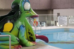 Una piscina con un tobogán con forma de rana.