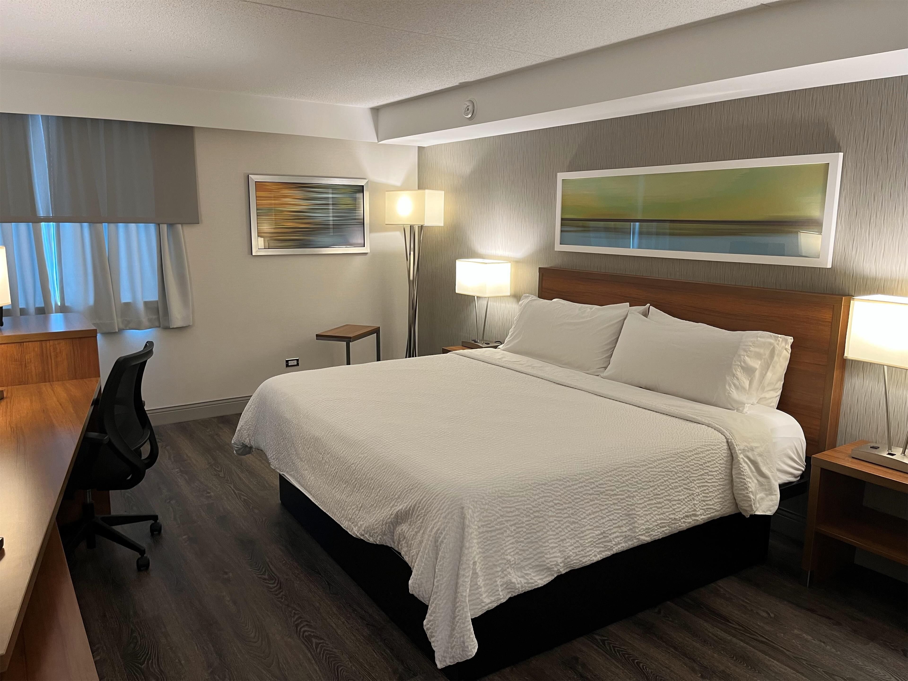 standard room, 1 king bed, non smoking (walk-in shower) | 1 bedroom, hypo-allergenic bedding, desk, laptop workspace