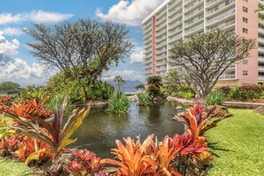 Un jardín ajardinado con un estanque, plantas tropicales y un edificio de varios pisos al fondo.