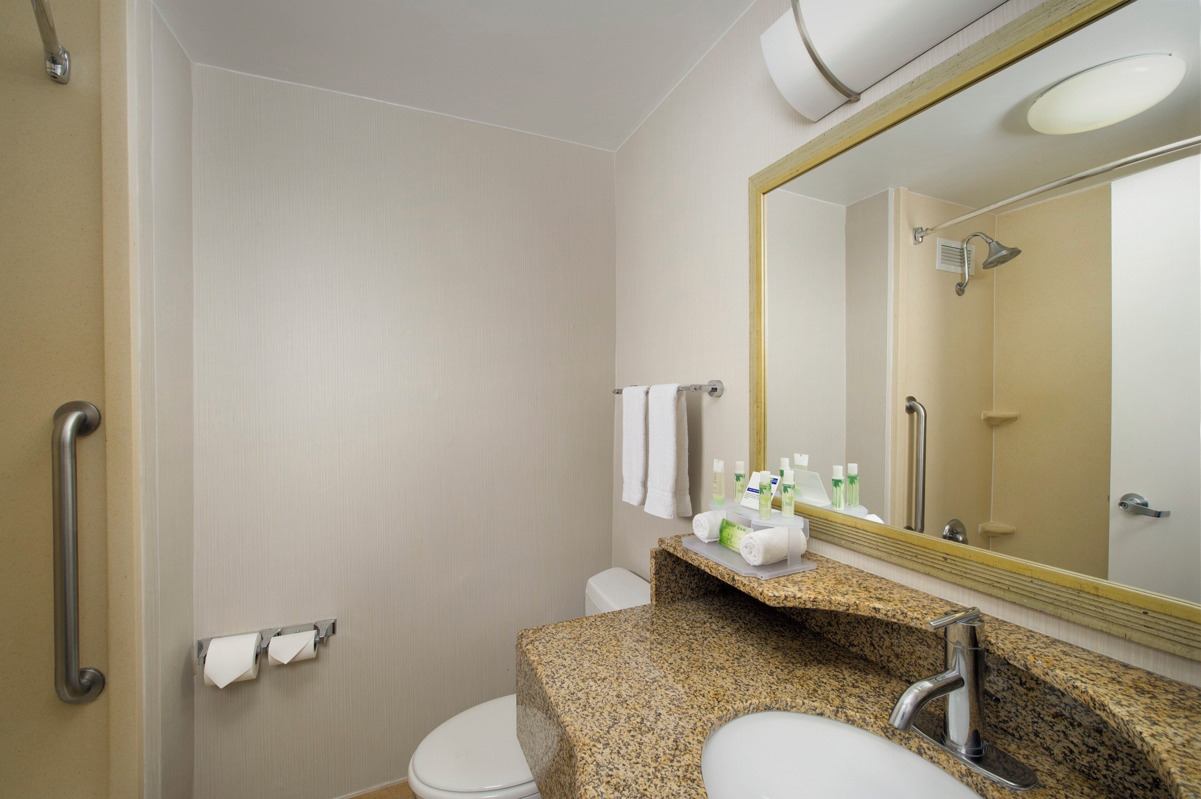 A bathroom with a toilet, sink, mirror, and handrails.