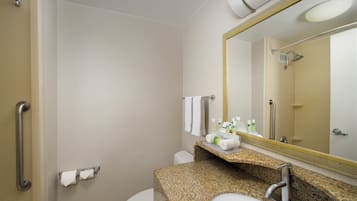 A bathroom with a toilet, sink, mirror, and handrails.