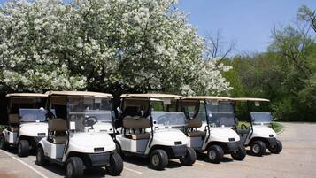 Uma fileira de carrinhos de golfe estacionados em um estacionamento, com uma grande árvore florida ao fundo.