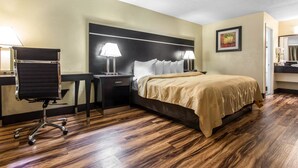 In-room safe, iron/ironing board, cribs (free) - Quality Inn Goose Creek - Charleston (Goose Creek)