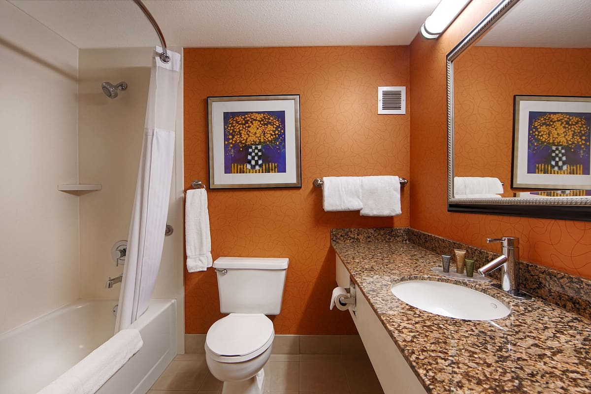 combined shower/bathtub, free toiletries, hair dryer, towels