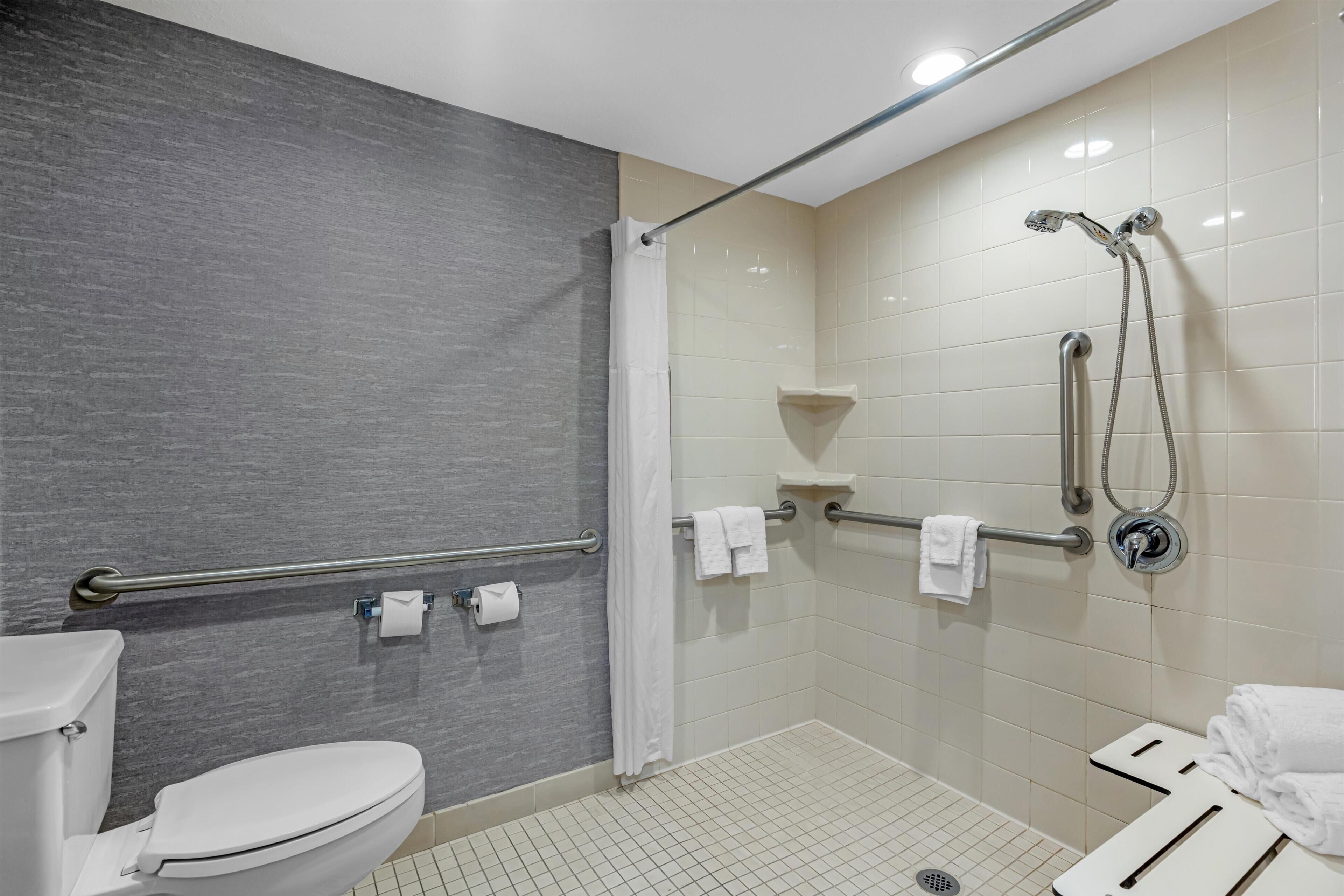 A modern bathroom with a toilet, shower, and grab bars.