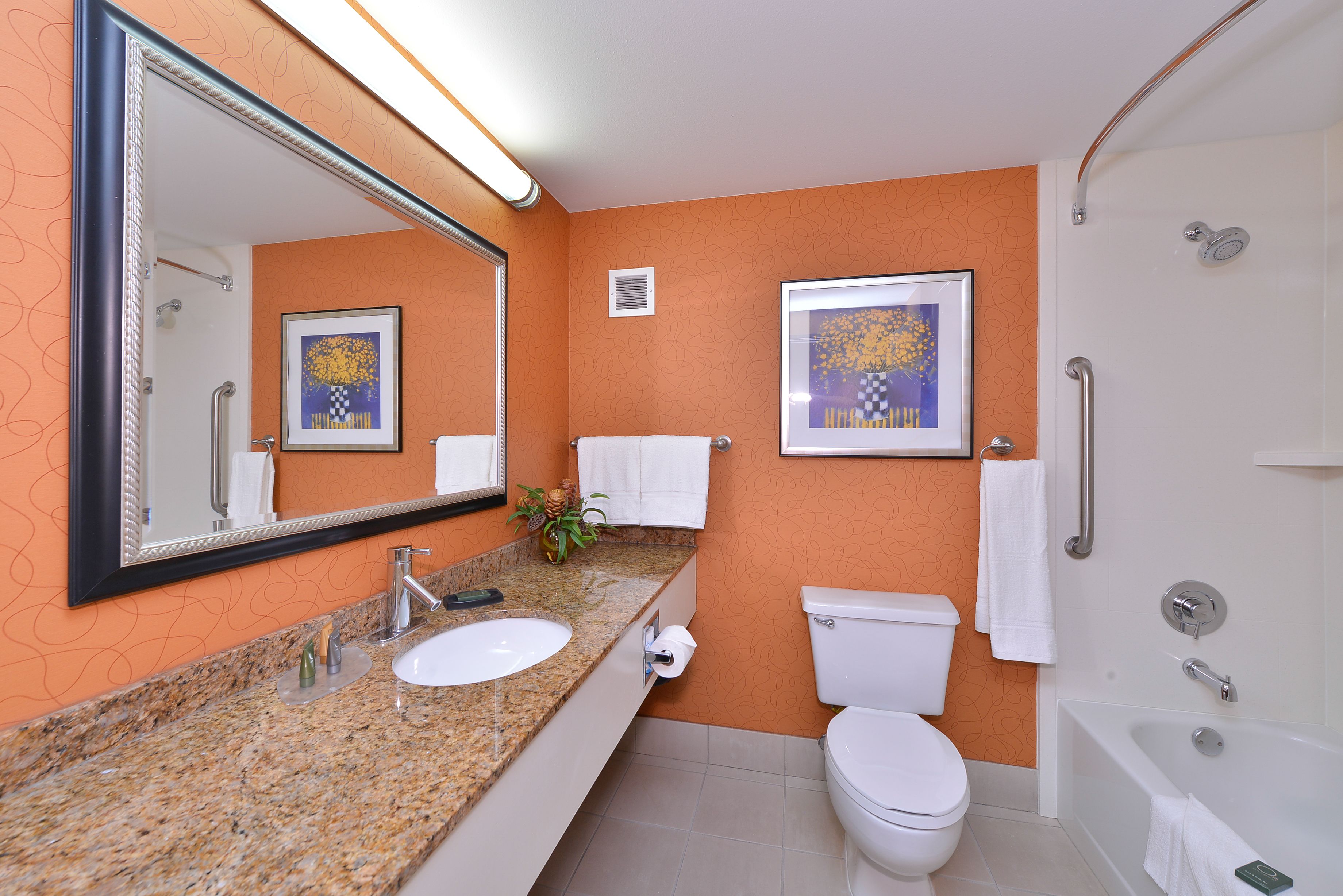 combined shower/bathtub, free toiletries, hair dryer, towels