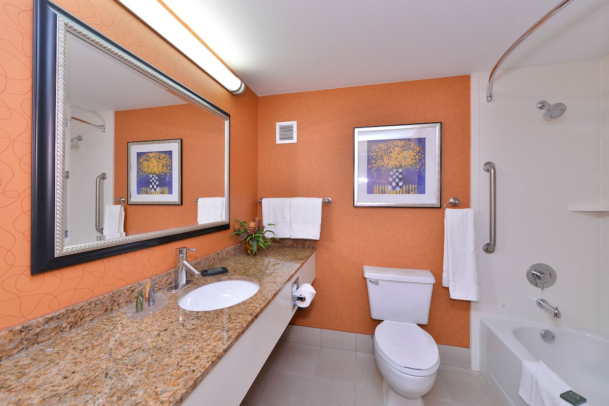 combined shower/bathtub, free toiletries, hair dryer, towels