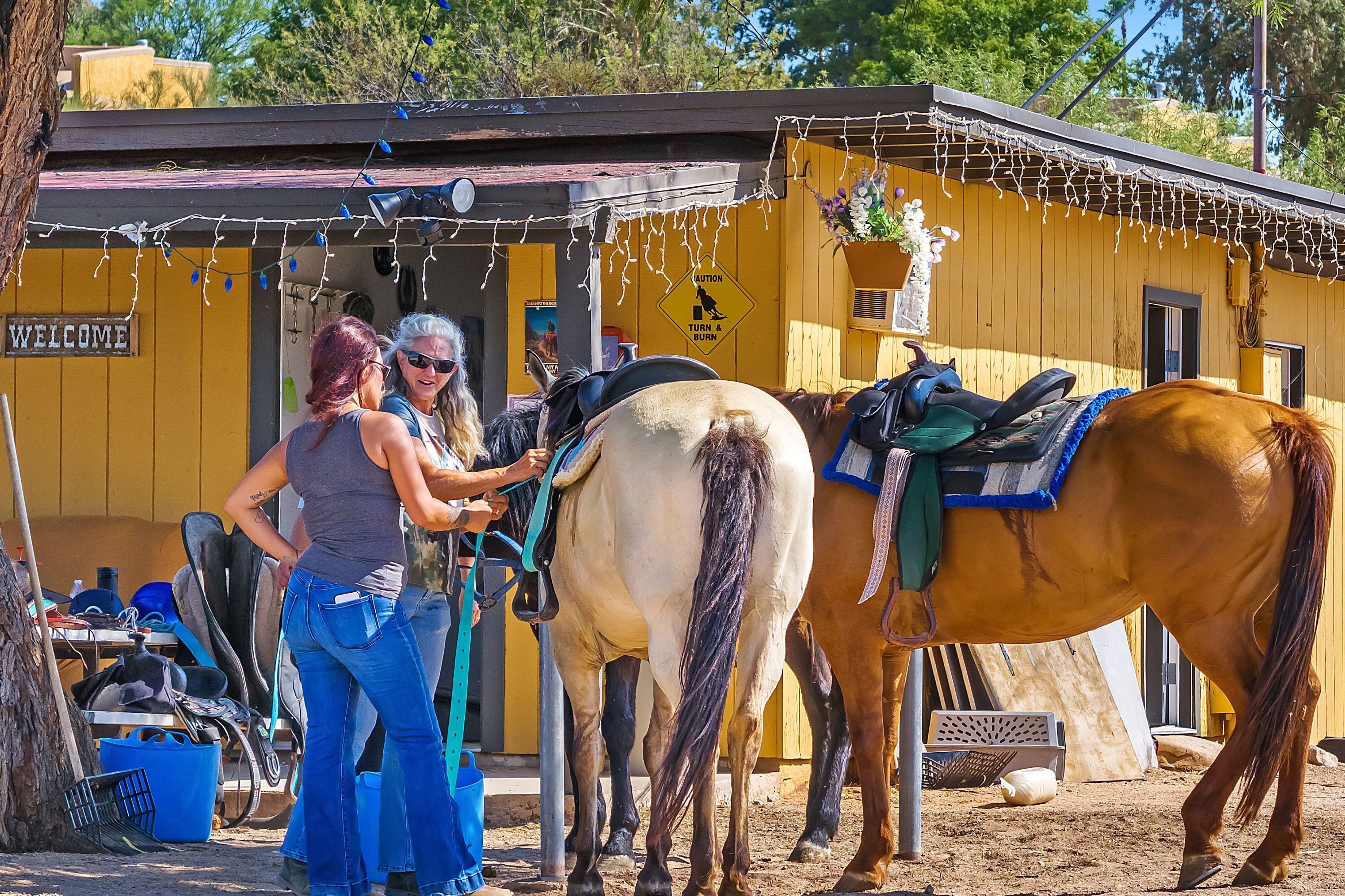 A yellow building with a "WELCOME" sign, a horse, and a person grooming the horse.
