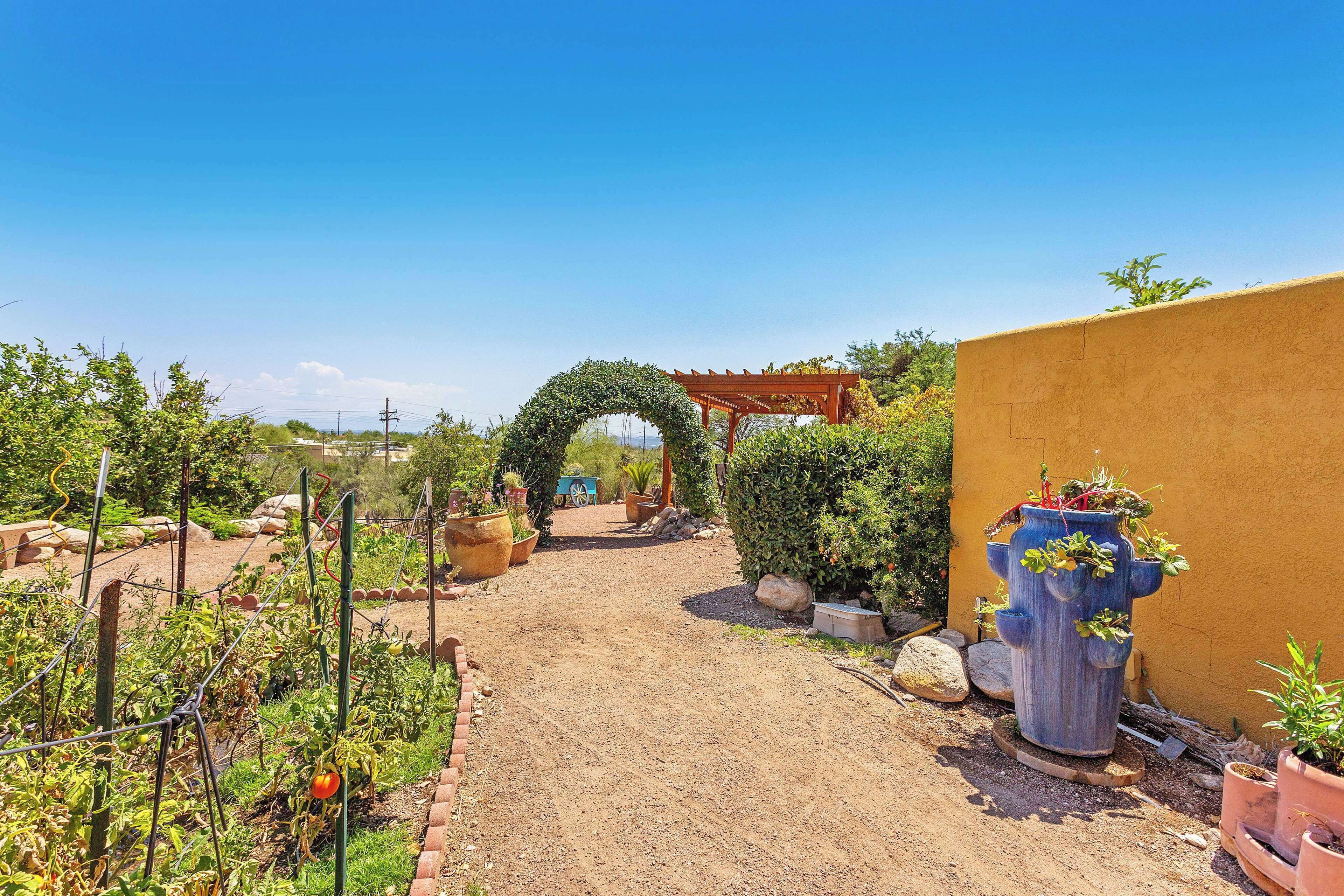Un sentier de jardin menant à une pergola, entourée de plantes en pot et d’un grand bac à fleurs bleu.
