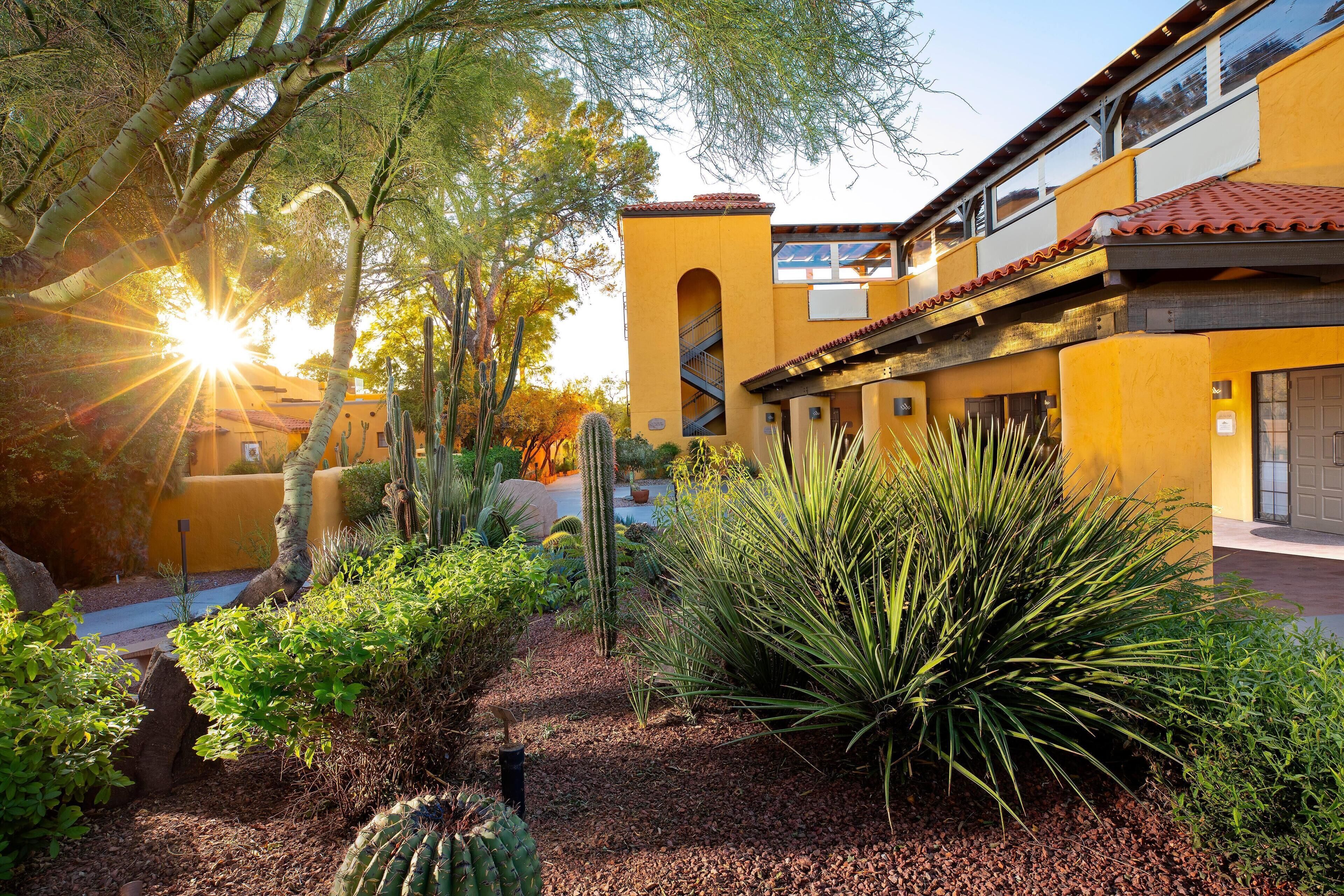 A courtyard with cacti, a palm tree, and a building with a yellow facade and red-tiled roof.