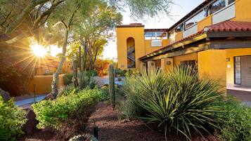 A courtyard with cacti, a palm tree, and a building with a yellow facade and red-tiled roof.