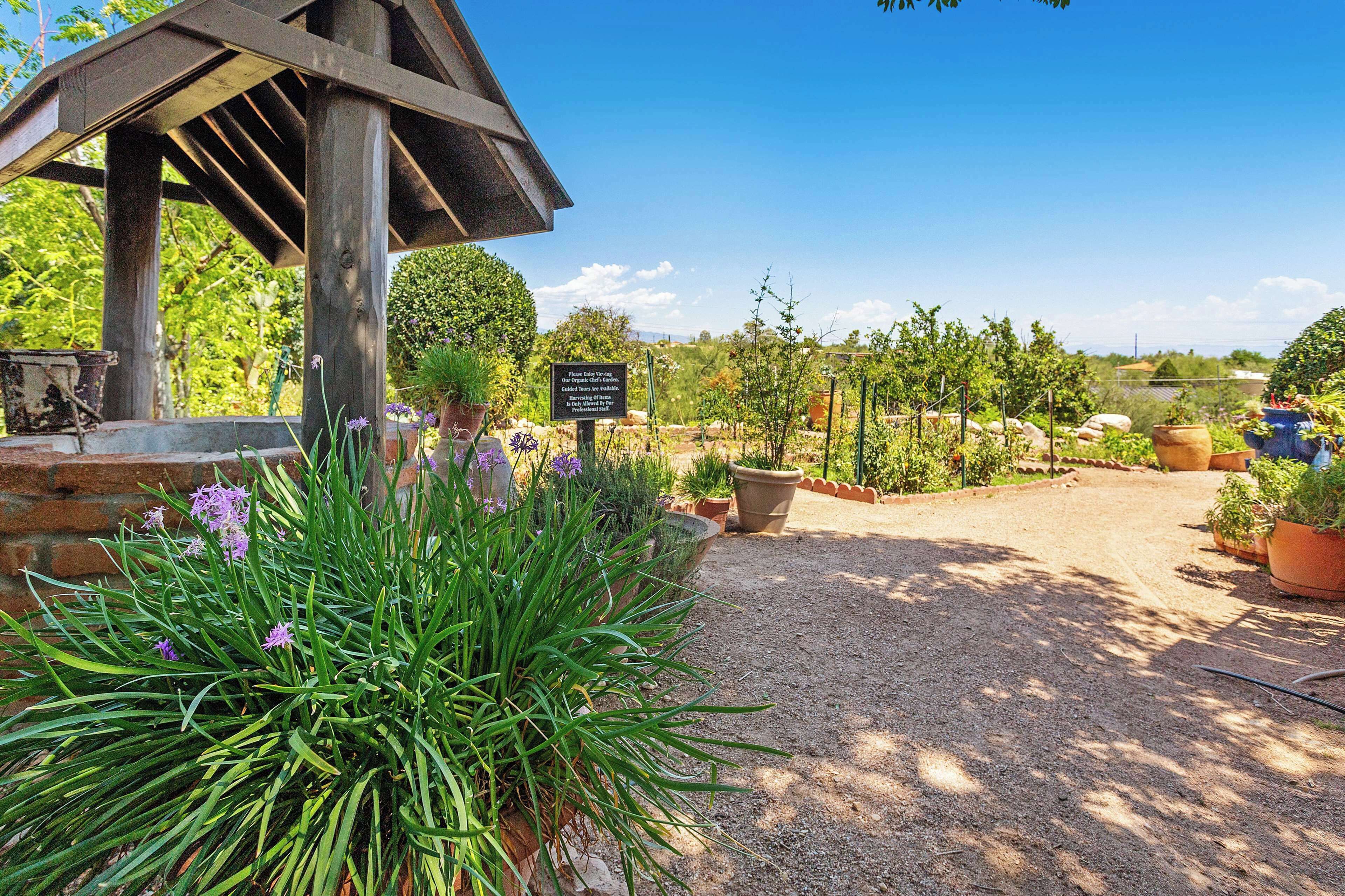 A garden area with a wooden pergola, potted plants, and a gravel path.