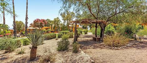 Een aangelegde tuin met een pergola, palmboompjes en diverse struiken.
