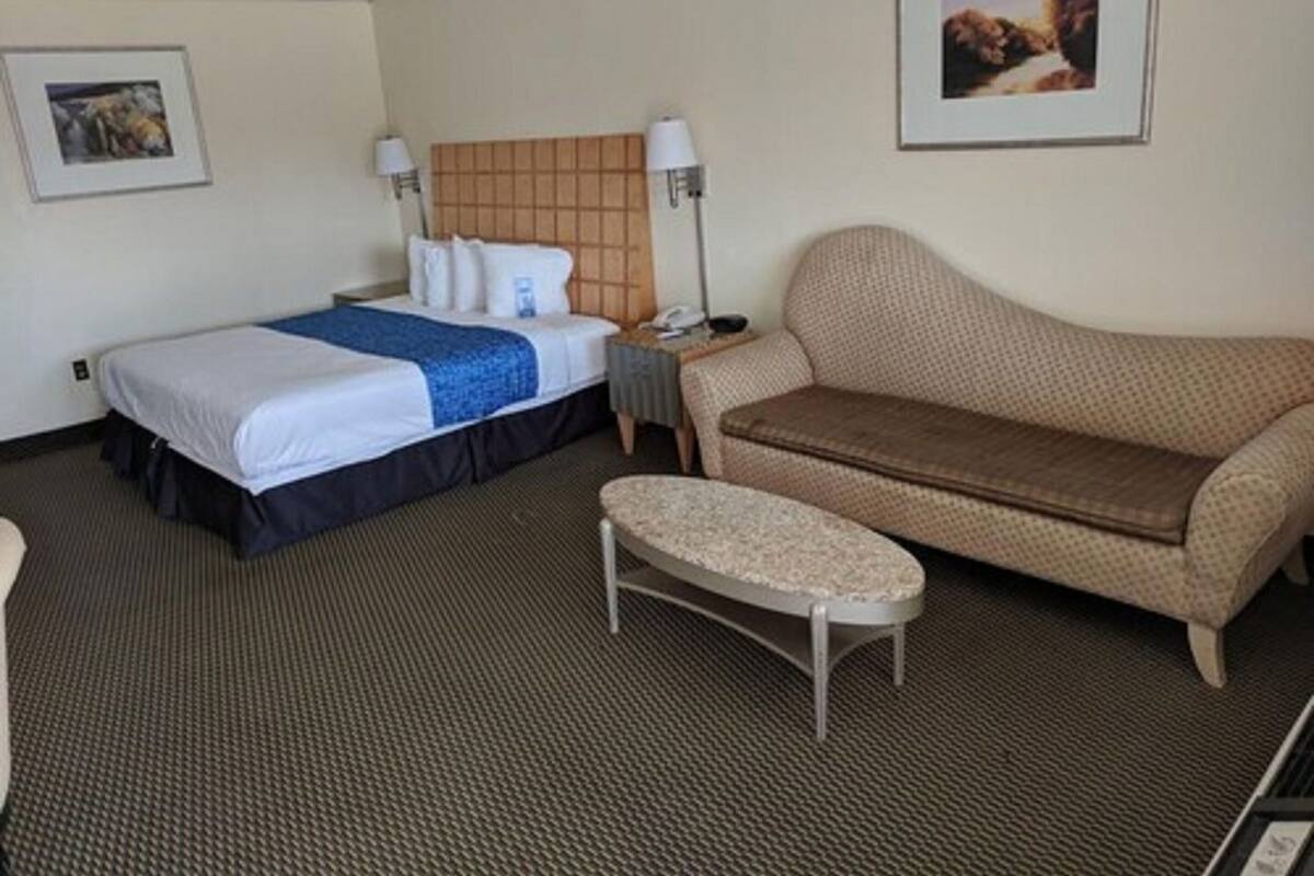 Una habitación de hotel con cama, sofá, una mesita y una lámpara.