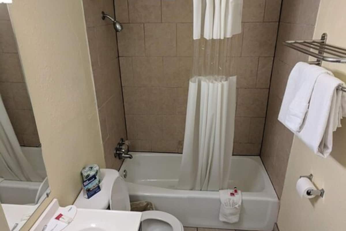 Ducha, toallas, jabón y papel higiénico