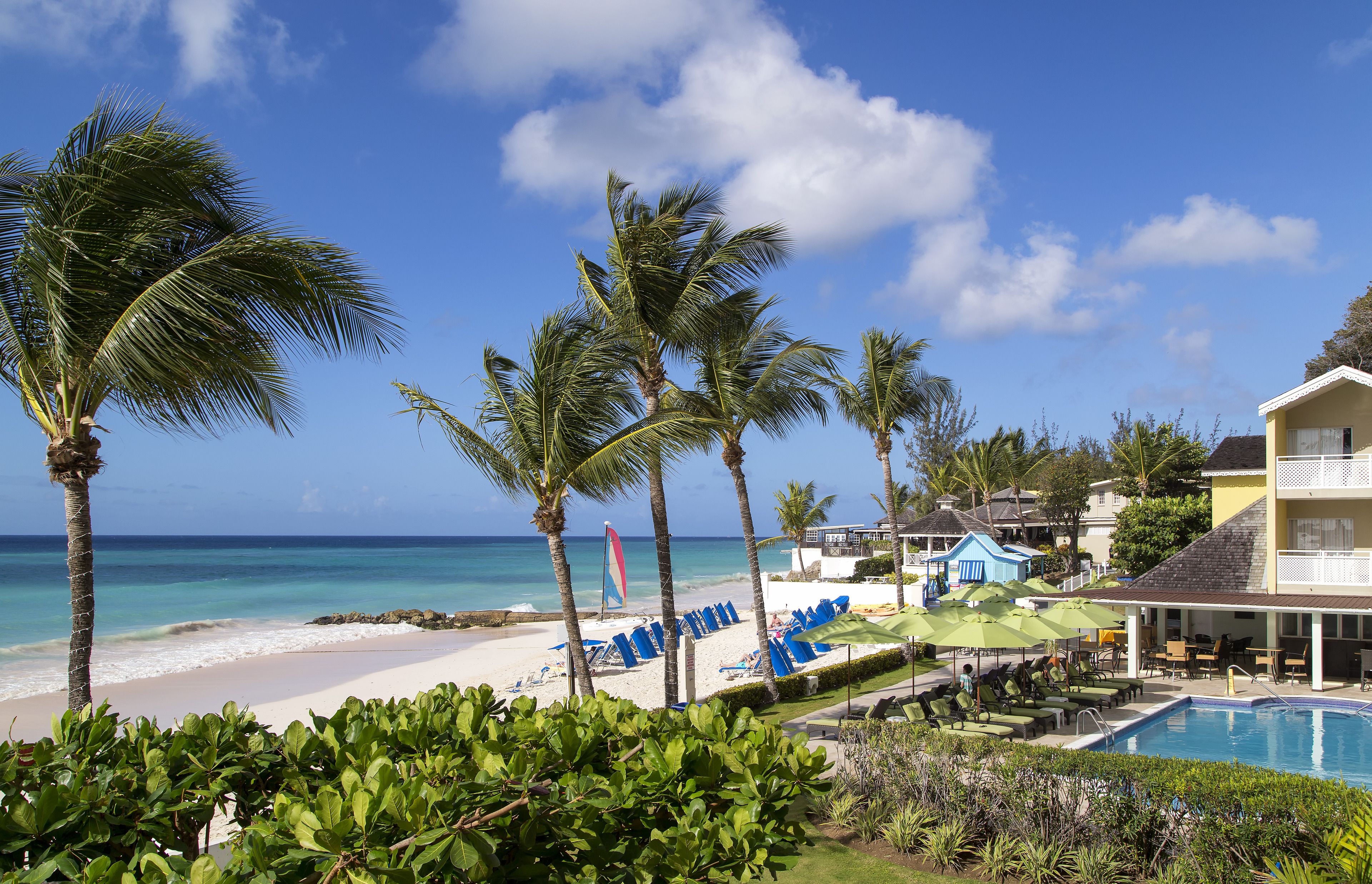 A beach resort with a pool, palm trees, and a view of the ocean.