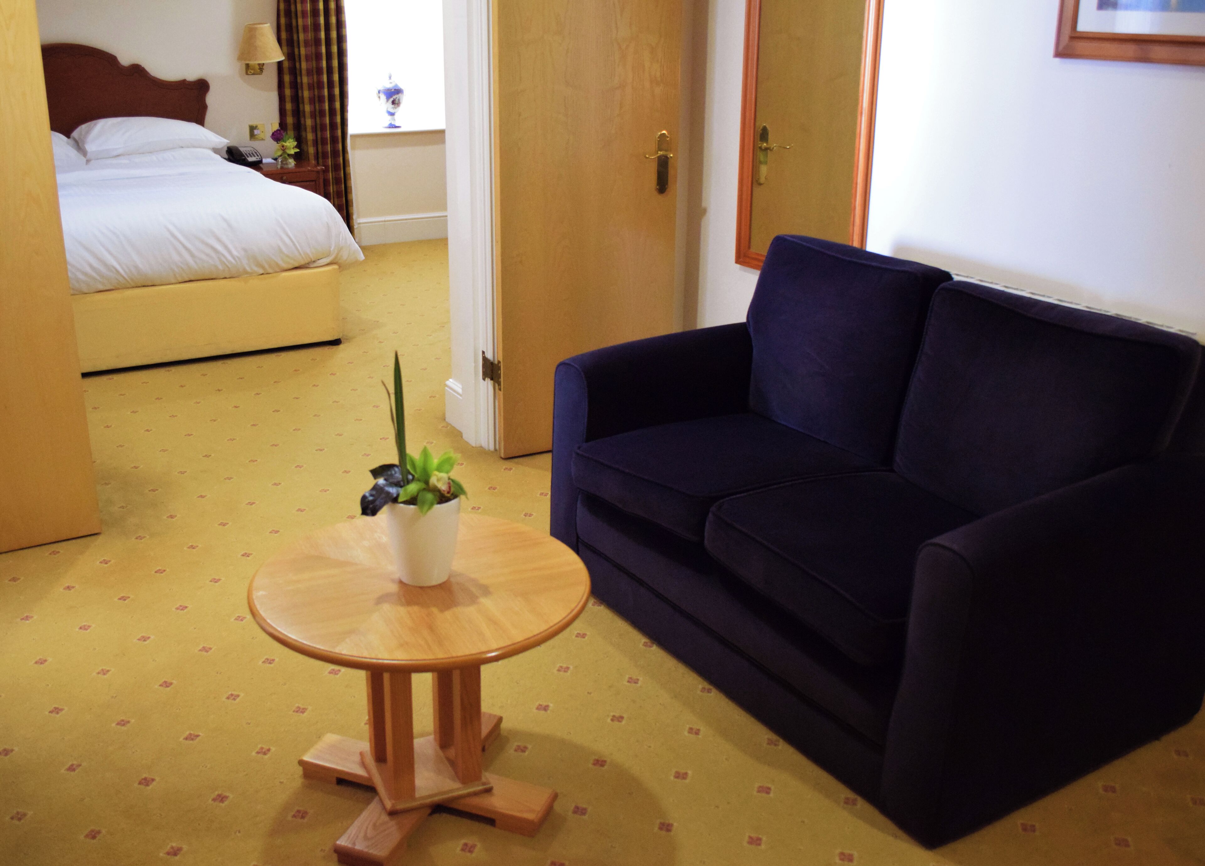 Una habitación de hotel con una cama, un sofá azul oscuro, una mesita de madera con una planta y una alfombra estampada.