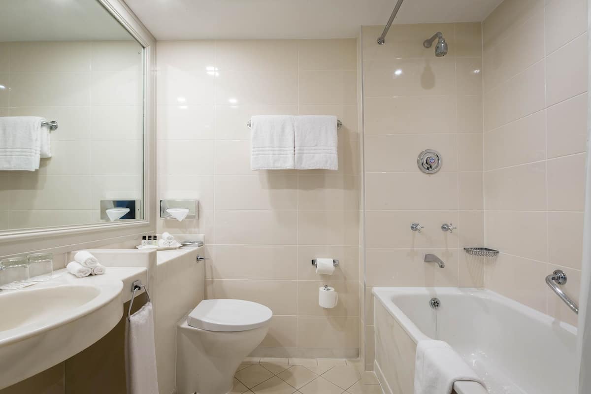 combined shower/bathtub, designer toiletries, hair dryer, bathrobes