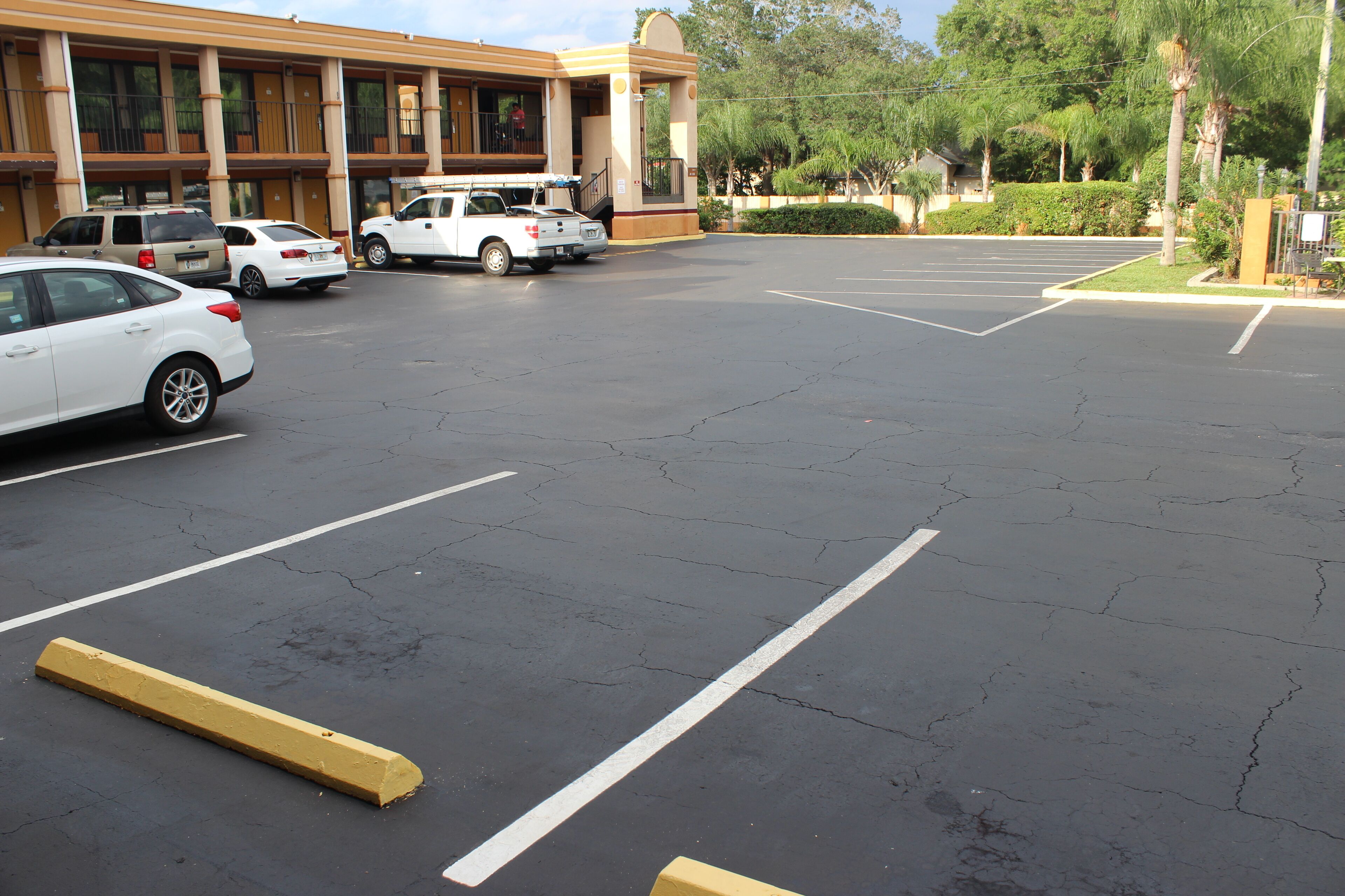 Foto - La Quinta Inn by Wyndham Tampa Near Busch Gardens