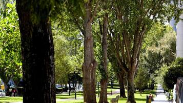 Un sendero arbolado con bancos y una zona verde.