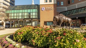 A Hyatt Regency hotel with a large entrance, a statue of a bull, and a landscaped garden with various plants. - Hyatt Regency Buffalo / Hotel and Conference Center (Buffalo)