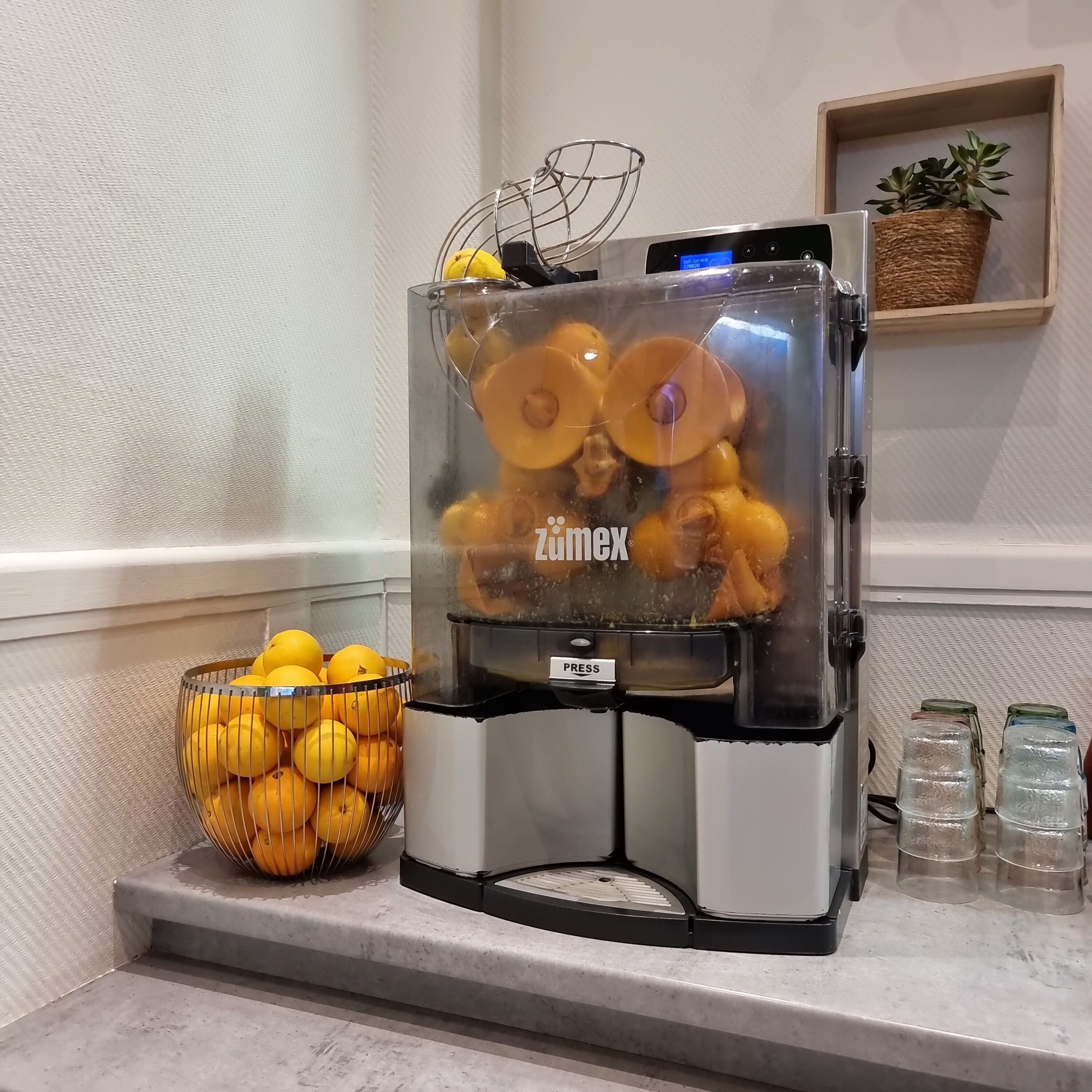 A kitchen with a food processor, a bowl of lemons, and a plant on the counter.
