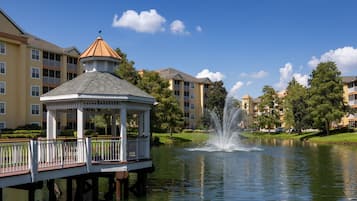 Vista desde la propiedad