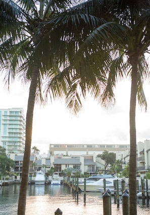 A marina with boats docked, palm trees, and a building with multiple floors in the background.