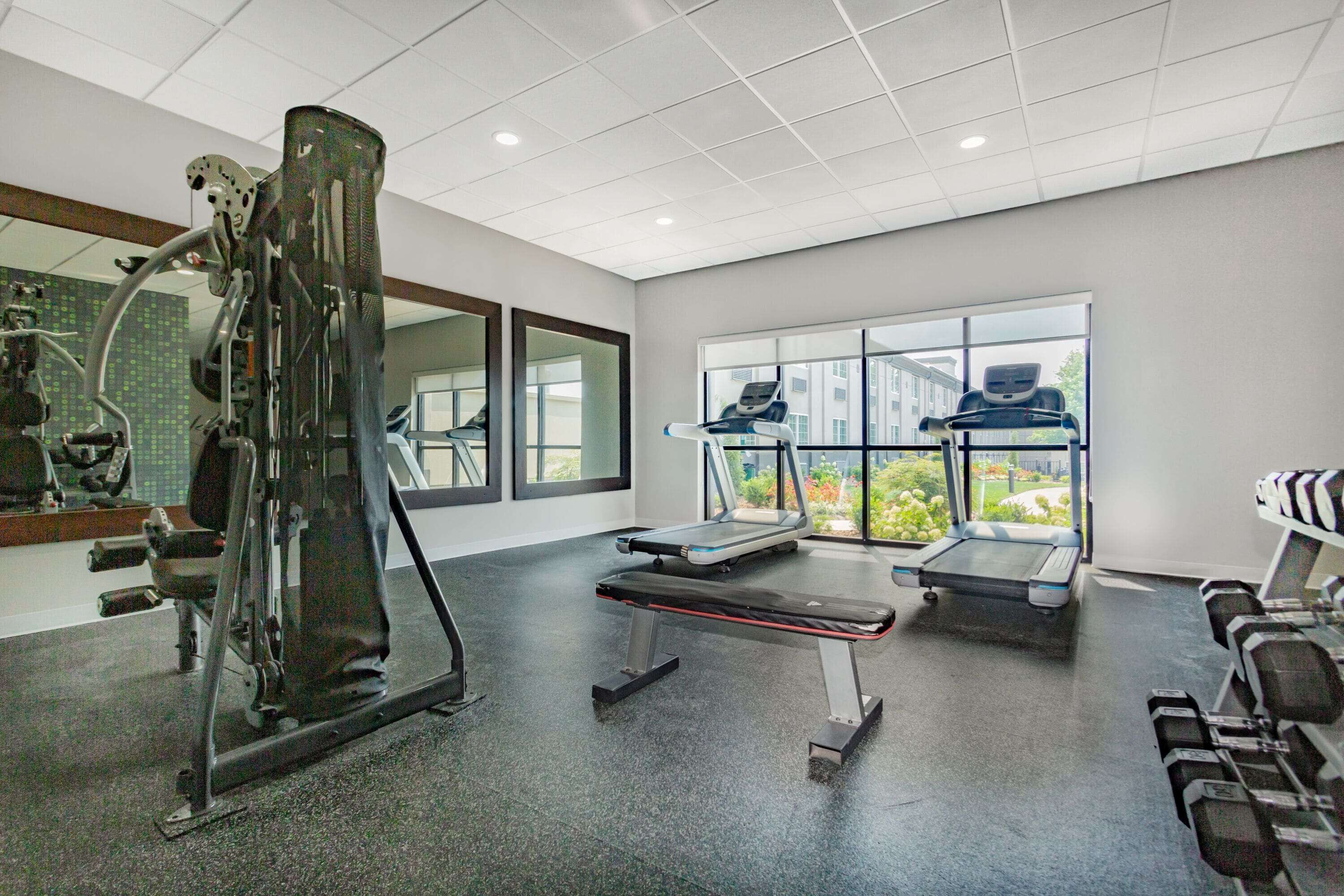 Un gimnasio con equipo de ejercicio, una banca y mancuernas.