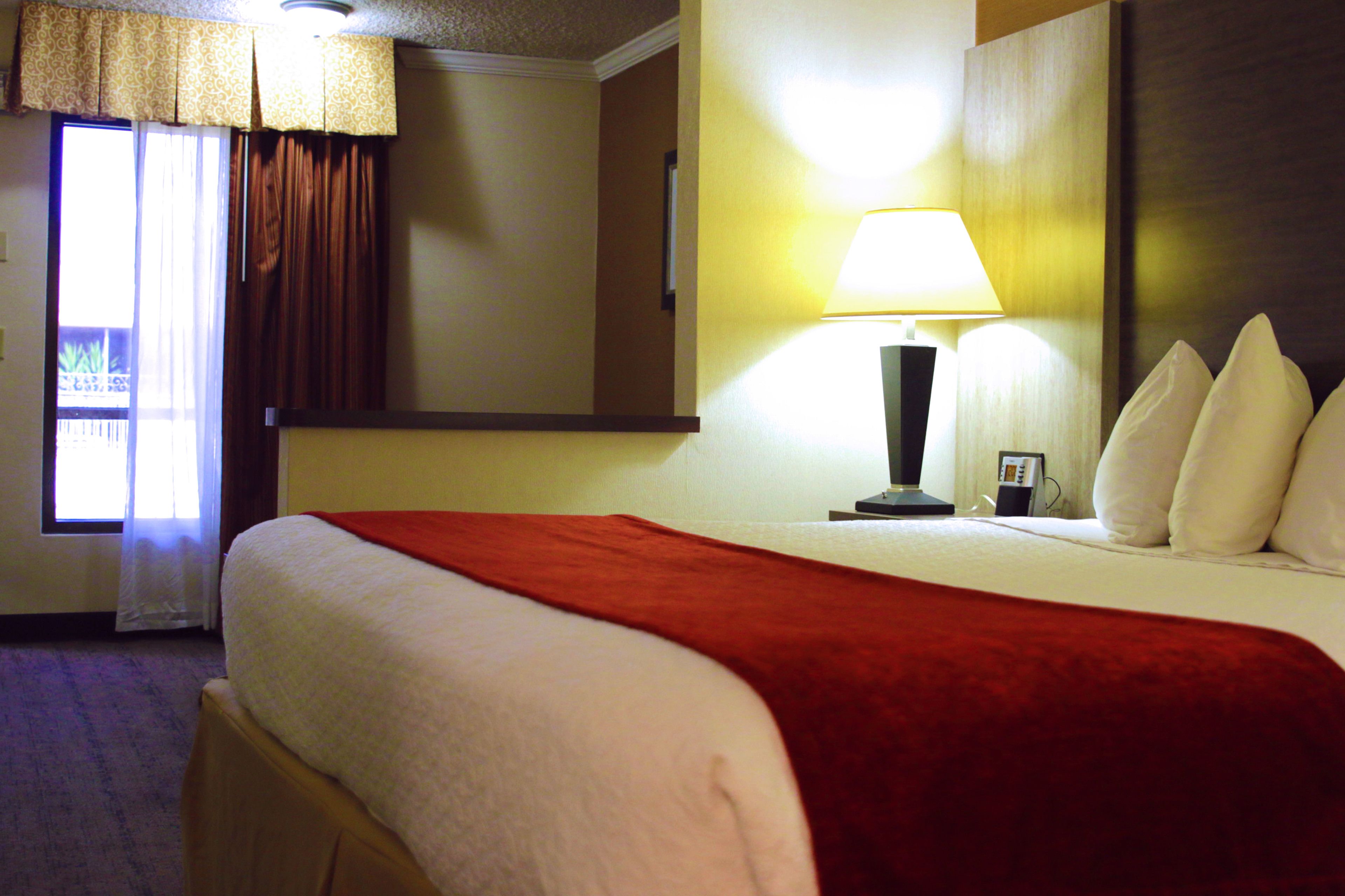 A hotel room with a bed, a nightstand with a lamp, a window with curtains, and a view of the outside.