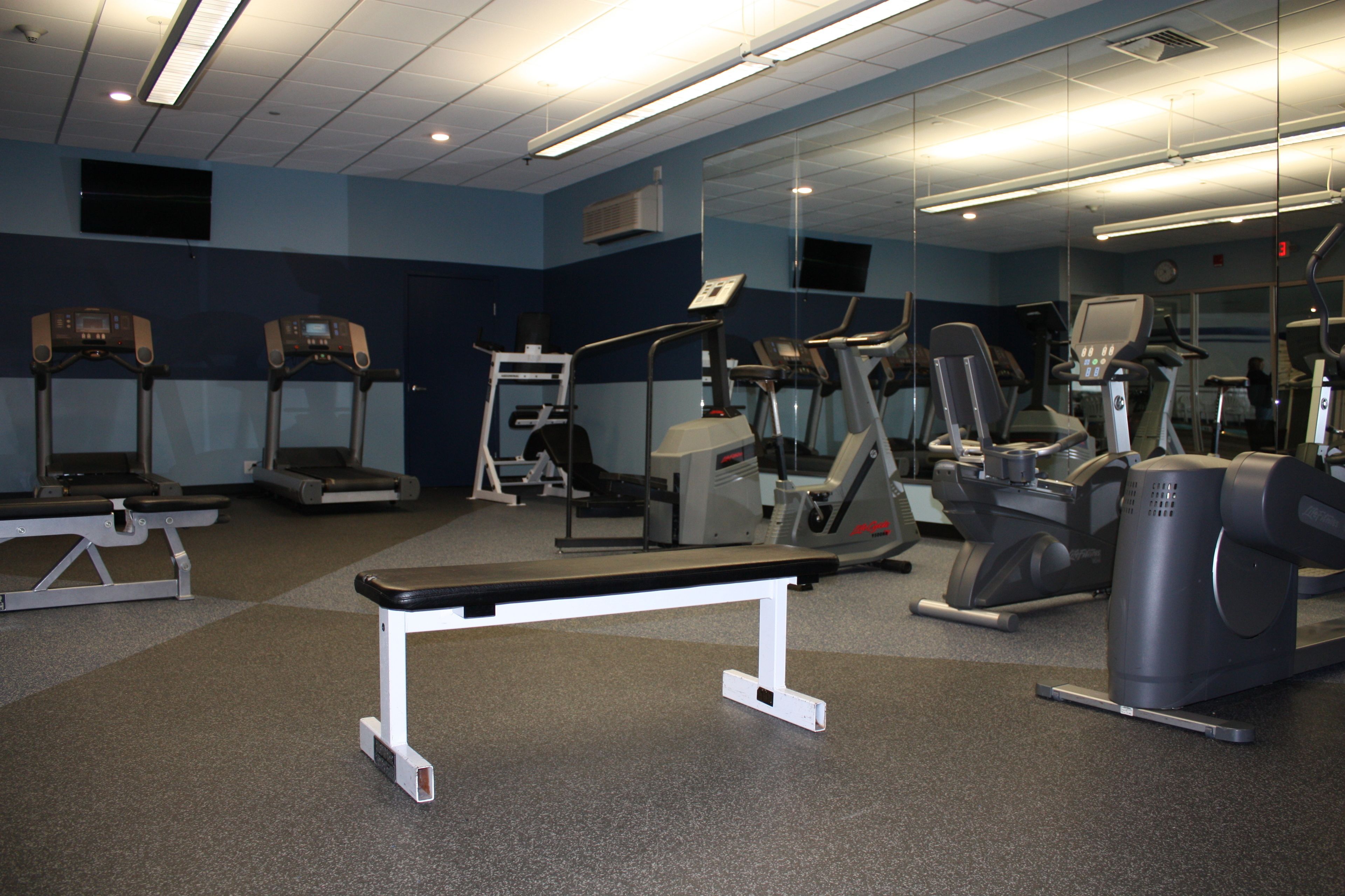 A gym with treadmills, elliptical machines, and a bench.