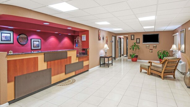 A reception area with a counter, framed pictures, a television, and potted plants. - Days Inn by Wyndham New Market/I-81 (New Market)