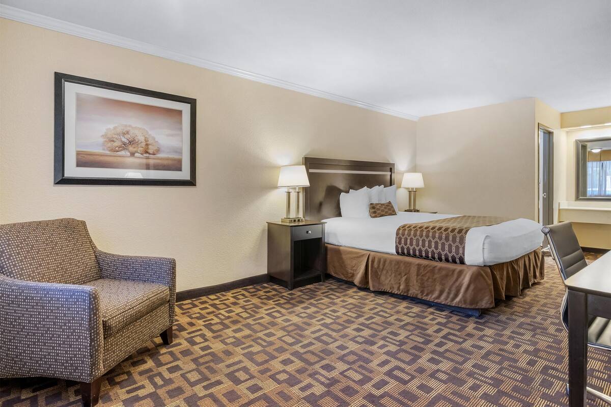 Une chambre d’hôtel avec un lit, deux lampes de chevet, une chaise, une table de chevet, un tableau encadré au mur et une moquette à motifs.