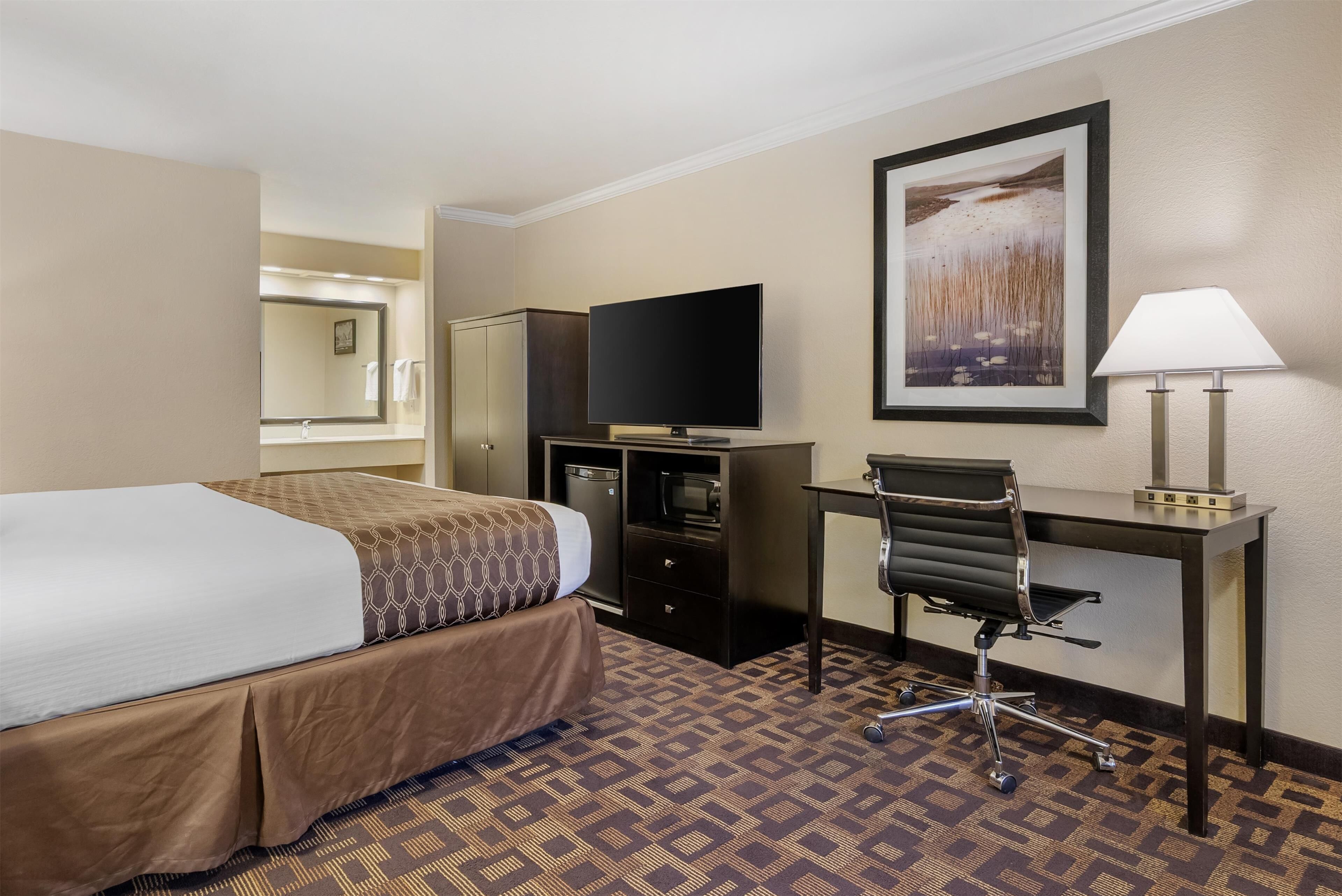 A hotel room with a bed, desk, chair, television, and a framed picture on the wall.