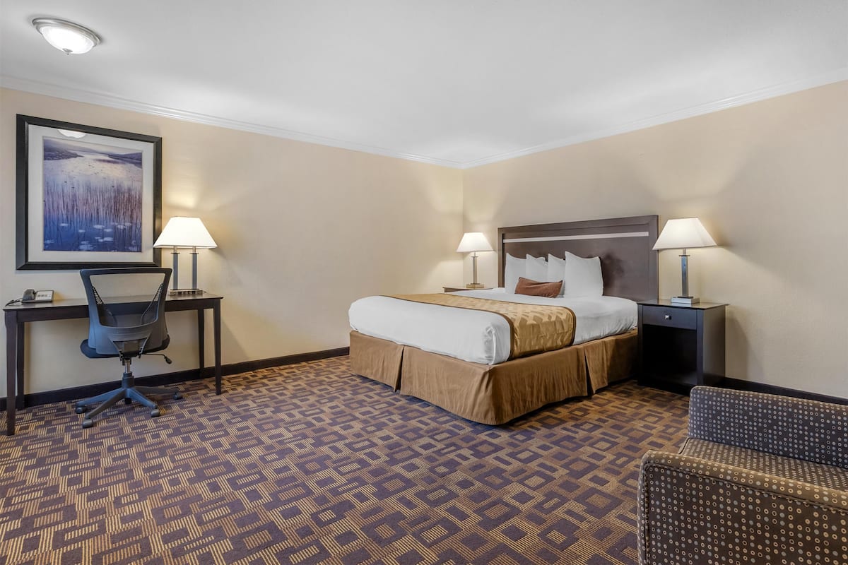 Standard Room, 1 King Bed, Non Smoking, Refrigerator & Microwave (Larger Room)