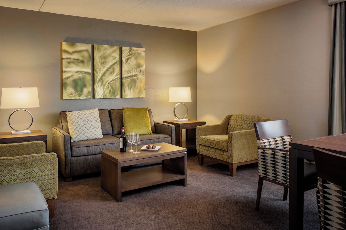 Suite, 1 Schlafzimmer, Stadtblick (1 King Bed, Living/Dining Area)